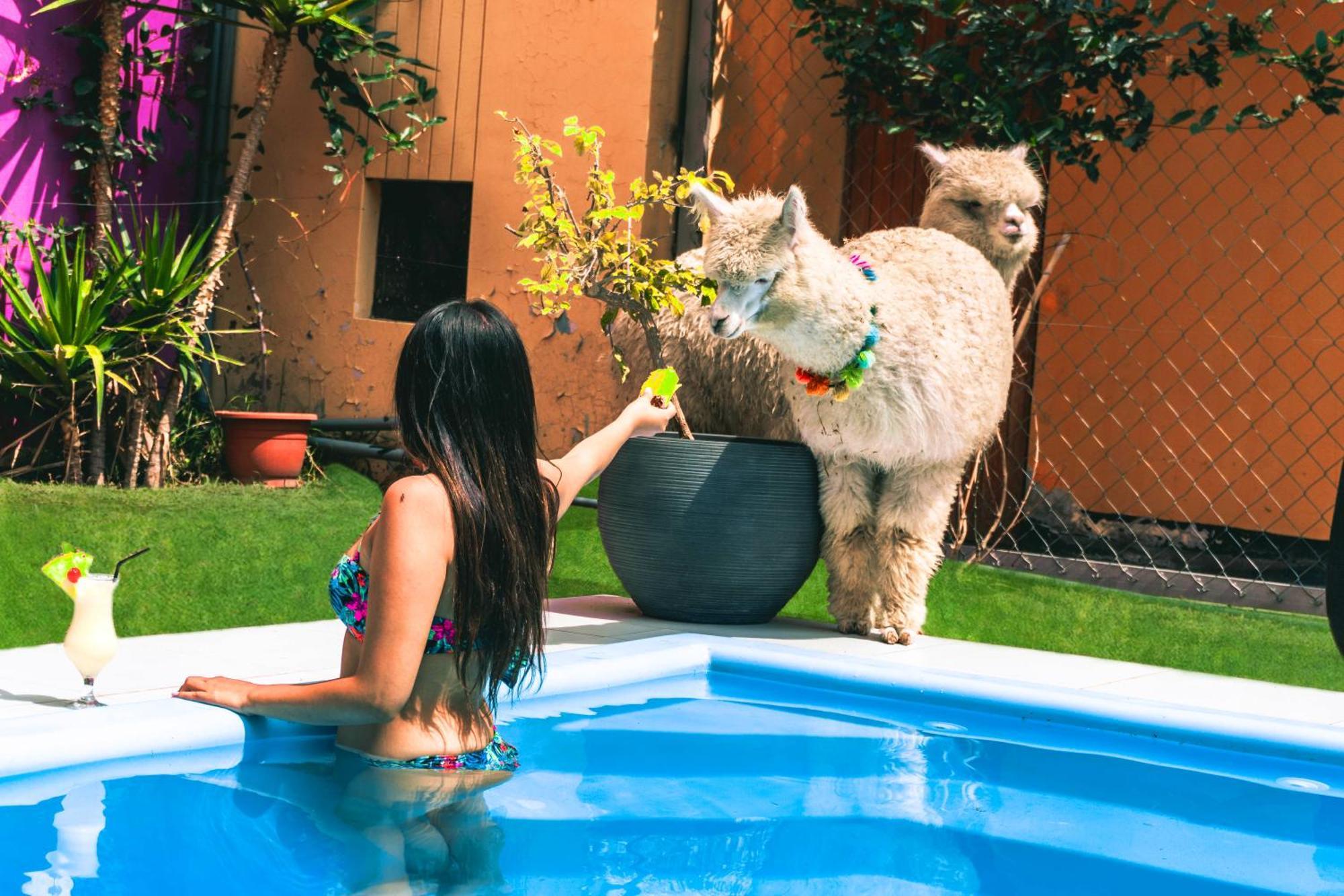 Hotels Collect Adriana Monet Arequipa Exteriér fotografie